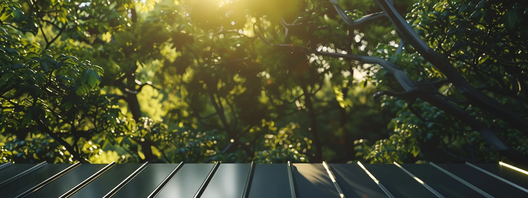 a sleek, modern metal roof shining under the bright sunlight against a backdrop of lush green trees.